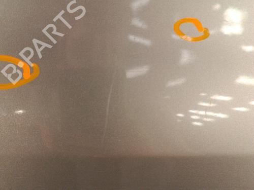 Right front door RENAULT CLIO III Grandtour (KR0/1_) 1.5 dCi (KR0G) | BP30017234C3