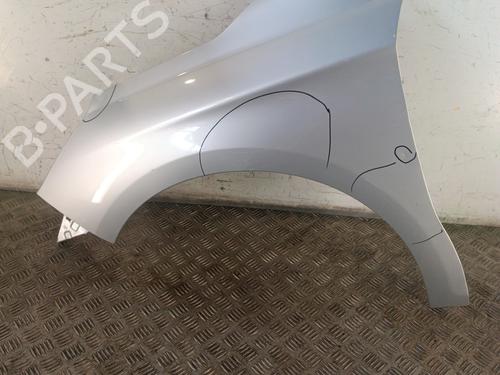 Used Left front fenders CITROËN C4 II (NC_) 1.6 HDi 115 (114 hp) 30010171