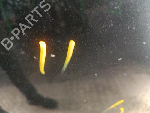 Used Hood LAND ROVER FREELANDER I (L314) 2.0 Td4 4x4 (112 hp) 30014008