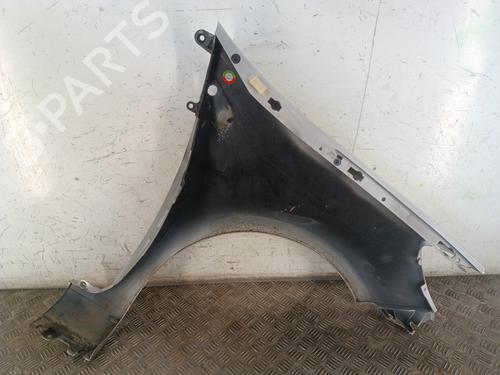Left front fenders RENAULT CLIO III (BR0/1, CR0/1) 1.5 dCi (BR17, CR17) | BP30017229C41