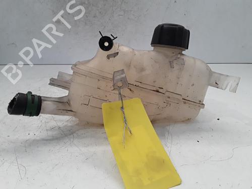 Ausgleichsbehälter RENAULT MEGANE III Hatchback (BZ0/1_, B3_) 1.5 dCi (BZ09, BZ0D, BZ1W, BZ29, BZ14) | BP30021511C120 