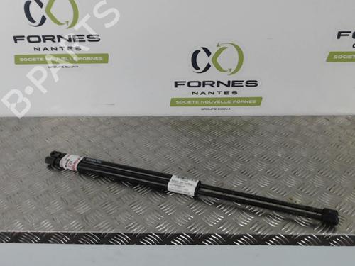 Used Tailgate lift support MERCEDES-BENZ VITO / MIXTO Van (W639) 109 CDI (639.601, 639.603, 639.605) (95 hp) 30027759