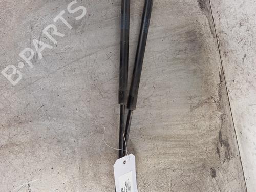 Used Tailgate lift support RENAULT KANGOO (KC0/1_) 1.5 dCi (KC07) (65 hp) 30008178