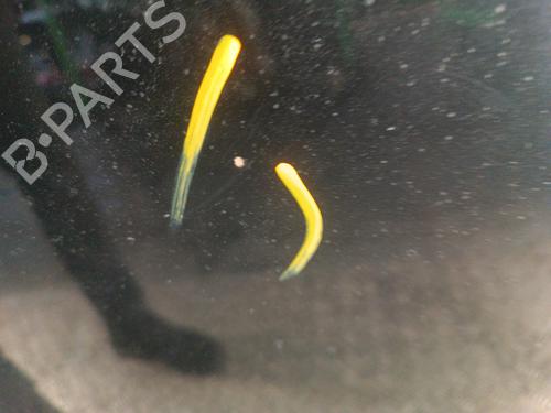 Hood LAND ROVER FREELANDER I (L314) 2.0 Td4 4x4 | BP30014008C1 