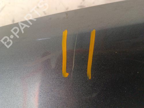 Left front fenders RENAULT LAGUNA II (BG0/1_) 1.9 dCi (BG1A, BG1W, BG0G) | BP30148586C41