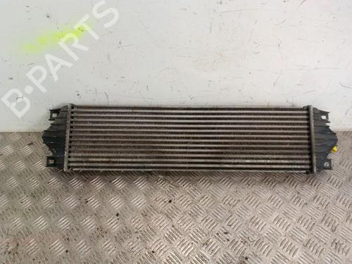 Used Intercooler Intercooler RENAULT MASTER II Van (FD) 2.2 dCI 90 (FD0G, FD0N, FD2G, FD2N, FD3G, FD3N) (90 hp) 30019215 30019215