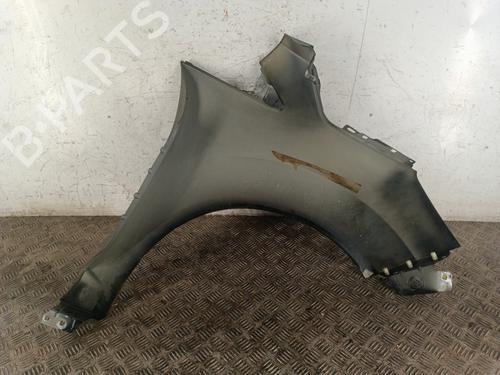 Left front fenders FORD GRAND C-MAX (DXA/CB7, DXA/CEU) 2.0 TDCi | BP31017328C41