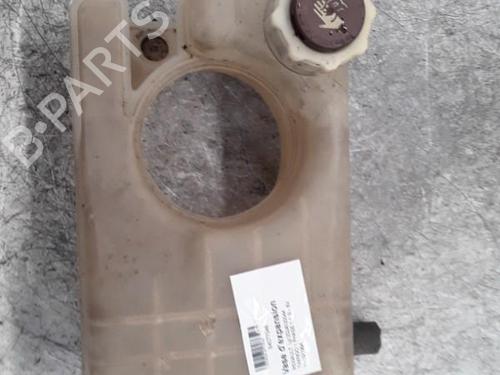 Used Expansion tank RENAULT TWINGO I (C06_) 1.2 (C066, C068) (58 hp) 30024552