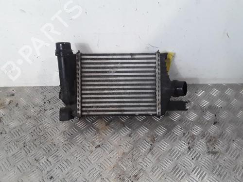 Intercooler RENAULT CLIO IV (BH_) 1.5 dCi 75 | BP30021095M30