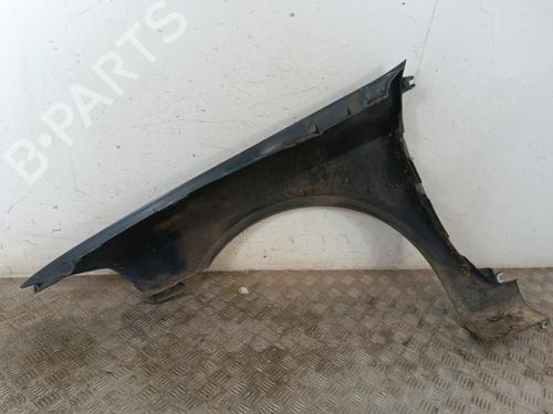 Right front fenders RENAULT LAGUNA II (BG0/1_) 2.2 dCi (BG0F) | BP30018891C42