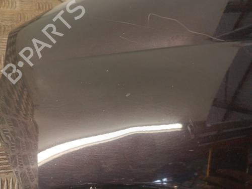 Left front fenders FIAT PUNTO EVO (199_) 1.3 D Multijet (199AXC1A, 199BXC1A, 199AXT1A, 199BXT1A) | BP30023598C41 