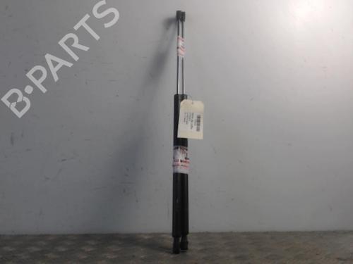Tailgate lift support CITROËN C8 (EA_, EB_) 2.0 HDi 165 | BP30016799C138