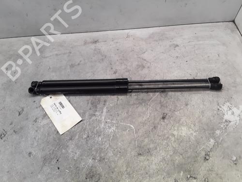 Amortiguador portón/maletero OPEL CORSA F (P2JO) 1.5 (68) (102 hp) 30014903