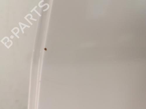 Drzwi tylne lewe SKODA FABIA II (542) 1.6 TDI | BP30010019C4 