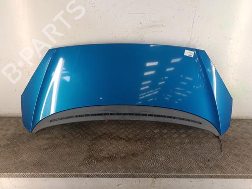 Used Hood PEUGEOT 1007 (KM_) 1.4 (75 hp) 30014593
