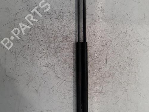 Used Tailgate lift support RENAULT GRAND SCÉNIC II (JM0/1_) 1.5 dCi (JM02, JM13) (101 hp) 30026904