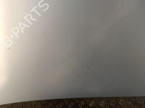 Hood RENAULT SAFRANE II (B54_) 2.2 dT (B54G) | BP30025100C1 