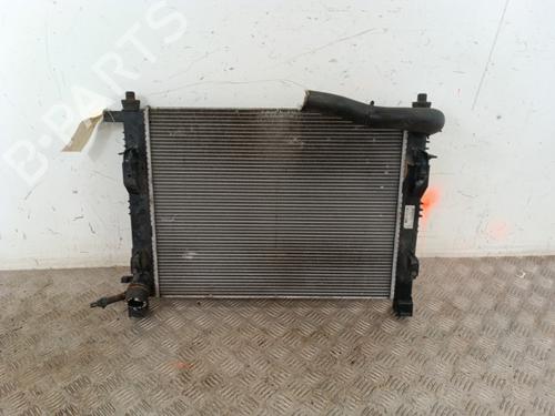 Used Water radiator Water radiator DACIA DOKKER MPV (KE_) 1.2 TCe (KEM0, KEAY) (115 hp) 30009121 30009121