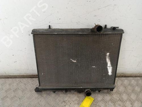 Køler PEUGEOT 206 Hatchback (2A/C) 1.4 i (75 hp) 30019042