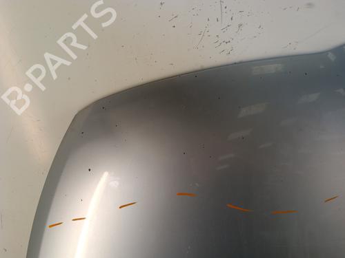 Hood MITSUBISHI GRANDIS (NA_W) 2.0 DI-D (NA8W) | BP30025547C1 