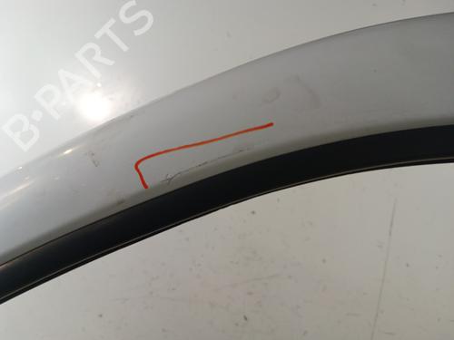 Left front door RENAULT TRAFIC II Van (FL) 1.9 dCi 80 (FL0B) | BP30012829C2 