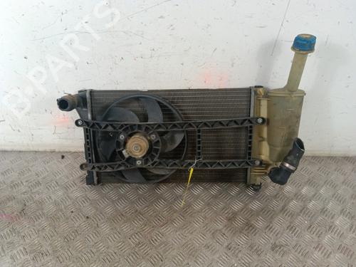 Køler FIAT PANDA (169_) 1.2 (169.AXB11, 169.AXB1A) (60 hp) 30013088