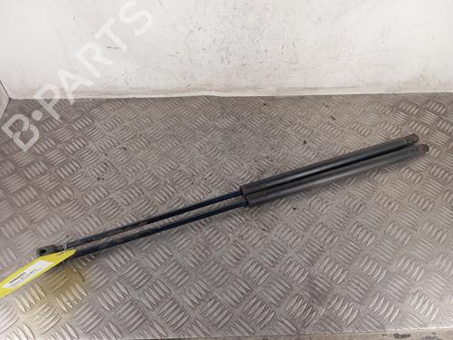 Gasdæmper bagklap RENAULT KANGOO (KC0/1_) 1.4 (KC0C, KC0H, KC0B, KC0M) (75 hp) 31839154