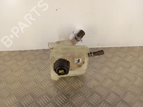 Used Expansion tank NISSAN QASHQAI I (J10, NJ10) 1.5 dCi (110 hp) 30008074
