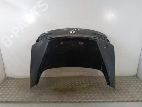 Used Tailgate RENAULT LAGUNA Coupe (DT0/1) 2.0 dCi (DT01, DT08, DT09, DT0K, DT12, DT1C, DT1D, DT1M,... (150 hp) 30018583