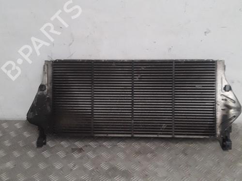 Intercooler RENAULT LAGUNA II (BG0/1_) 1.9 dCi | BP30018887M30 