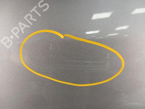 Left front door RENAULT CLIO III (BR0/1, CR0/1) 1.2 16V Hi-Flex (BR1U, CR1U) | BP30007807C2 