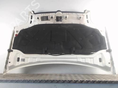 Hood FIAT DOBLO Box Body/MPV (223_) 1.9 JTD | BP30027490C1 