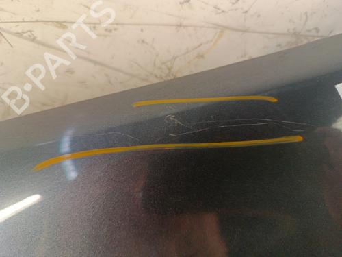 Left front fenders RENAULT LAGUNA II (BG0/1_) 1.9 dCi (BG1A, BG1W, BG0G) | BP30148586C41