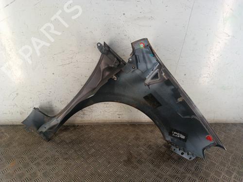 Left front fenders FIAT PUNTO EVO (199_) 1.3 D Multijet (199AXC1A, 199BXC1A, 199AXT1A, 199BXT1A) | BP30023598C41 