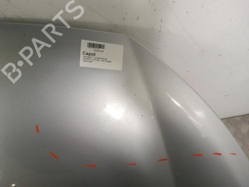 Hood PEUGEOT EXPERT Tepee (VF3X_) 2.0 HDi 140 | BP30010778C1 