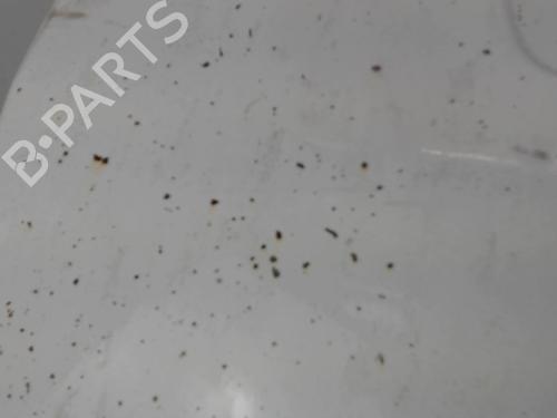 Hood FIAT DUCATO Van (250_) 160 Multijet 3,0 D | BP30027666C1 