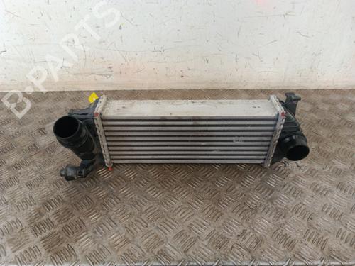 Intercooler RENAULT KANGOO / GRAND KANGOO II (KW0/1_) 1.2 TCe 115 (KW02, KW14) | BP30009177M30