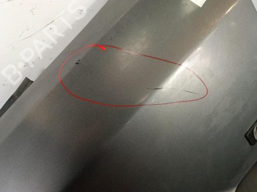 Forkjerm venstre RENAULT 21 (B48_) 1.7 (88 hp) 30024670