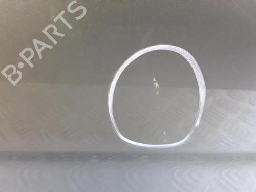 Left front door BMW X3 (E83) 2.0 d | BP30021946C2 