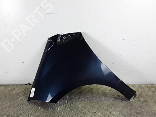 Left front fenders MERCEDES-BENZ A-CLASS (W169) A 180 CDI (169.007, 169.307) | BP30027465C41 
