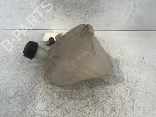 Used Expansion tank RENAULT TWINGO II (CN0_) 1.5 dCi (CN0E) (64 hp) 30021214