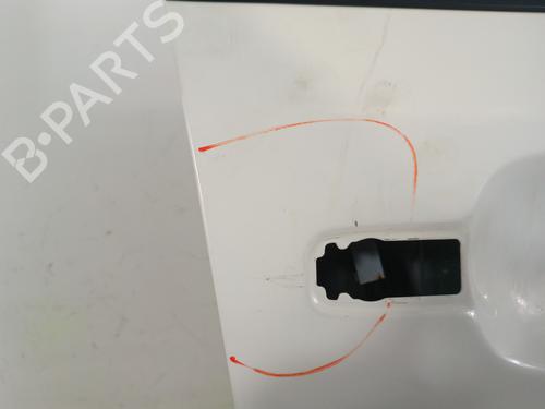 Right front door NISSAN LEAF (ZE0) Electric | BP30015404C3 