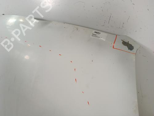 Hood FIAT DOBLO Cargo (263_) 1.3 D Multijet | BP30008650C1