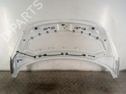 Hood PEUGEOT 207 (WA_, WC_) 1.6 HDi | BP30025713C1 