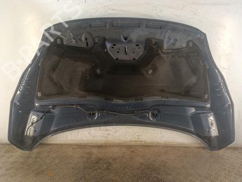 Hood FORD GRAND C-MAX (DXA/CB7, DXA/CEU) 1.6 TDCi | BP30023067C1 