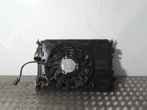 Used Water radiator Water radiator DS DS 7 Crossback (J4_, JR_, JC_) E-TENSE 4x4 (J45GBU) (300 hp) 30021053 30021053