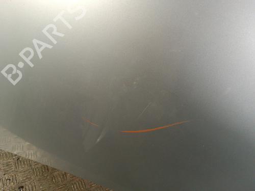 Hood SEAT IBIZA IV (6J5, 6P1) 1.9 TDI | BP30010924C1 