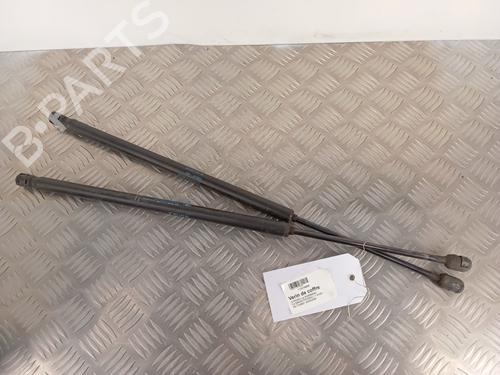 Gasdæmper bagklap CITROËN C4 Grand Picasso I (UA_) 1.6 HDi (109 hp) 30012082