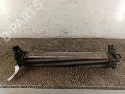 Intercooler RENAULT MEGANE III Hatchback (BZ0/1_, B3_) 1.2 TCe (BZ2B, BZ11) (116 hp) 30059889