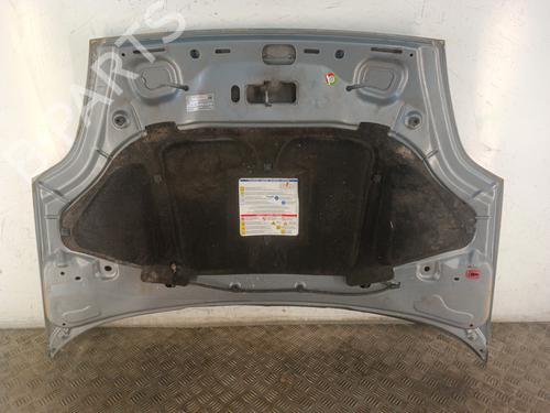 Hood FIAT GRANDE PUNTO (199_) 1.3 D Multijet | BP30017792C1 